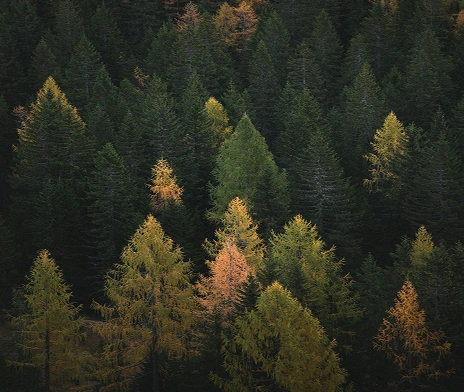 A sustainable choice that supports responsible building.